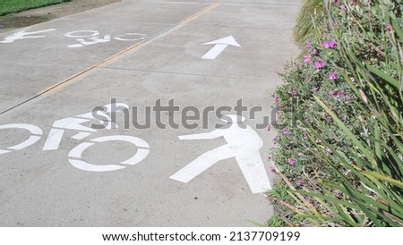 Bicycle or bike lane for biking safety on city street in California, USA. Transport infrastructure, marking line and icon on asphalt for bikers or cyclists. Track, route or path for bicyclists on road