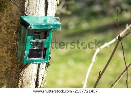 Hunting camera, green camera attached to a tree, used by hunters to spy on wild animals, capturing wildlife such as deer as they walk. Camouflage Night vision camera on a tree