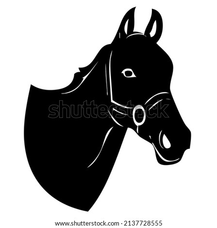 Horse, stallion head, domestic and wild animal, mammal, design, vector, illustration in black and white color, isolated on white background