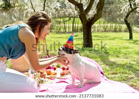 Horizontal image of woman at dog birthday party outdoors in the park. Cropped view of woman with french bulldog wearing a birthday hat on a spring picnic. People and animals lifestyle outdoors.
