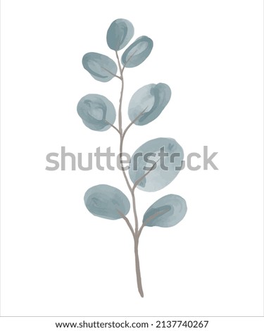 Eucalyptus branch hand drawn by watercolor. Vector illustration.