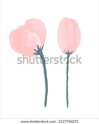 Delicate pink bud painted in watercolor. Vector illustration.