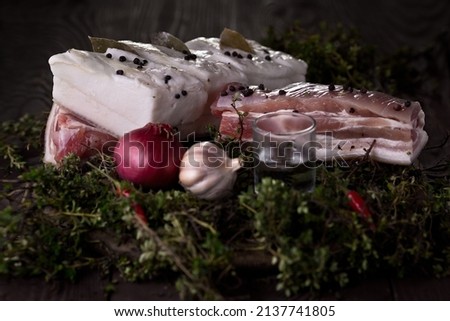 Raw pork fat, Ukrainian cooking. Photo of food on a dark background