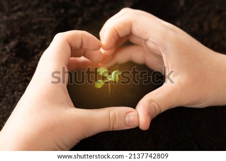 The hands of the child hold hands in the form of a heart around a green growing seedling against the backdrop of fertile soil.