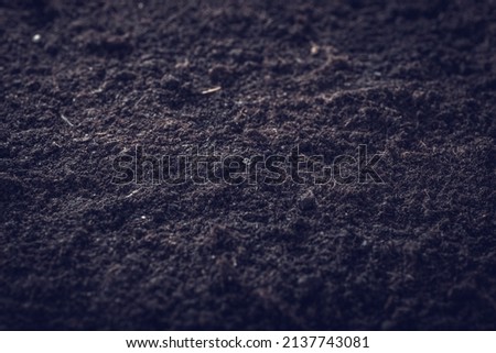 Black soil as a background. Earth is life for our planet Earth. selective focus.