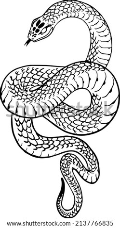 snake python drawing hand drawn vector graphics wild dangerous nature