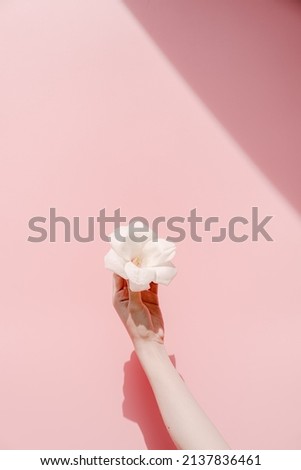 A hand with a white magnolia flower in front of a pink background.