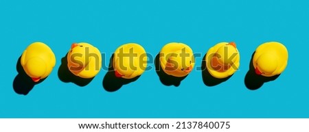 Rubber ducks looking at different directions arranged in a row. Different business vision, perspective or to search for an idea or way concept.