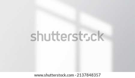Realistic and minimalist blurred natural light windows, leaves shadow overlay on wall paper texture, abstract background, summer, spring, autumn for product presentation podium and mockup Royalty-Free Stock Photo #2137848357