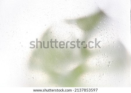 blurred silhouette monstera leaves shadow effect. blurred picture with fog effect of palm leaves silhouettes behind. out of focus