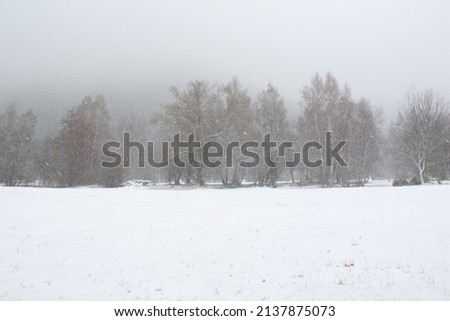 Huge snow storm in the mountains, Pyrenees Catalunya, Spain.