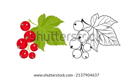 Red currant color cartoon illustration and simple outline. Vector fresh berry and green leaf. Flat icon.	 Royalty-Free Stock Photo #2137904637