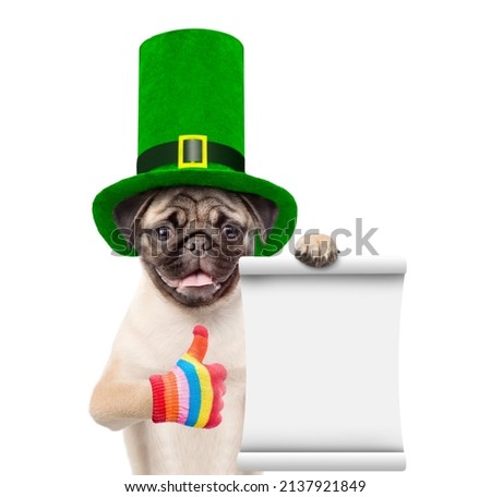 St Patrick's Day concept. Funny puppy wearing green cylinder  holds glass of beer and shows thumbs up gesture. isolated on white background