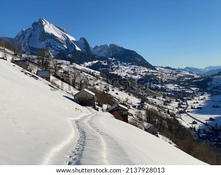 Winter snow idyll in the Thur river valley (or Thurtal) between the Alpstein and Churfirsten mountain massifs, Alt St. Johann - Obertoggenburg region, Switzerland (Schweiz)