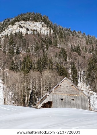 Indigenous alpine huts and wooden cattle stables on Swiss pastures covered with fresh white snow cover, Alt St. Johann - Obertoggenburg, Switzerland (Schweiz)