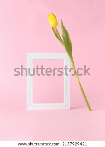 Minimal spring concept with white empty picture frame and fresh yellow tulip as decoration on pink background. Seasonal easter greeting card