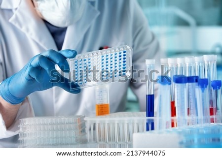 hand of researcher working with microplate for elisa analysis. Doctor working with panel microplate for diseases diagnostic in the laboratory Royalty-Free Stock Photo #2137944075