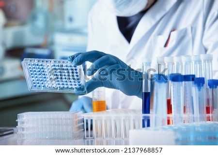 Researcher working with microplate panel for diseases diagnosis in the laboratory. Doctor working with microplate for elisa analysis Royalty-Free Stock Photo #2137968857