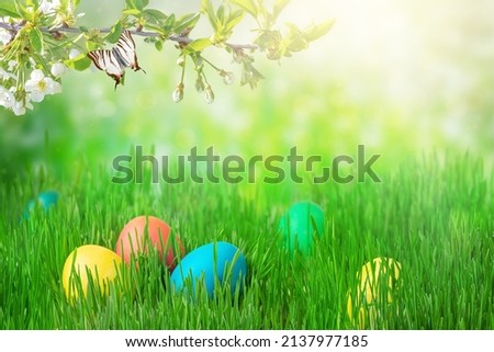 Easter eggs on green grass background. Egg hunt