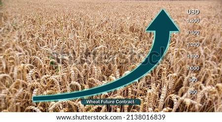 Wheat - Agriculture. Rising arrow to demonstrate rising prices for wheat. A wheat field in the background. Agriculture commodity concept.