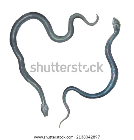 Snakes illustration. Two black reptile isolated on white background. Hand painted artistic clipart