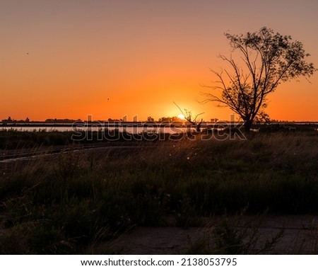Tree with lake and beautiful sunset in the background in Junin, Argentina