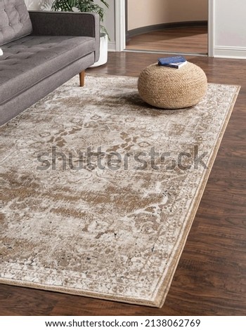 Modern vintage interior room area rug carpet design.