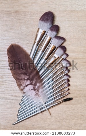 A set of makeup brushes of various shapes lies like a fan on the makeup artist's table. 
