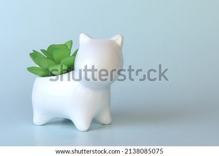 Succulents in a white vase in the shape of an animal, close-up