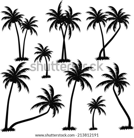 palm trees vector 