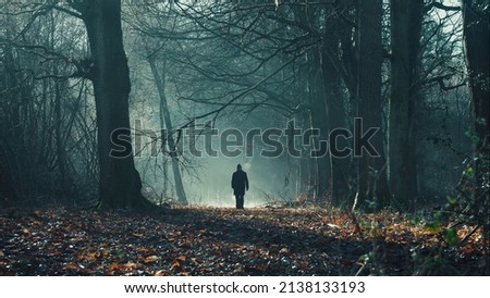 Wide shot of man walking down misty forest pathway Royalty-Free Stock Photo #2138133193