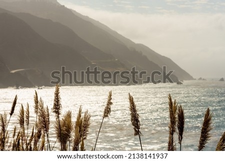 Grains of Sea Grass in front of Big Sur Coastline in central California Royalty-Free Stock Photo #2138141937