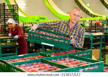 Young woman packing peaches into containers. Man carrying box full of peaches behind her. Royalty-Free Stock Photo #2138172517