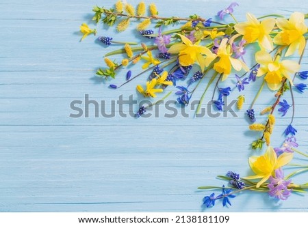 yellow and blue spring flowers on wooden background
