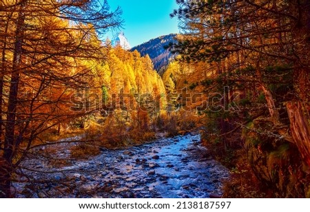 Mountain river in the autumn forest. River flow in autumn forest. Autumn mountain forest river stream view. River stream in autumn woods Royalty-Free Stock Photo #2138187597