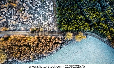 4 seasons in one picture Royalty-Free Stock Photo #2138202575