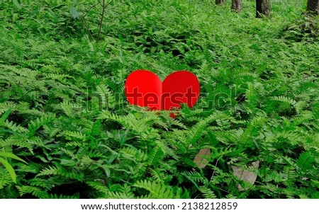 Red hearts arranged in the ground of fern leaves in the natural garden. 
