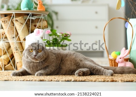 Cute Scottish Fold cat in bunny ears with Easter eggs and rabbit at home