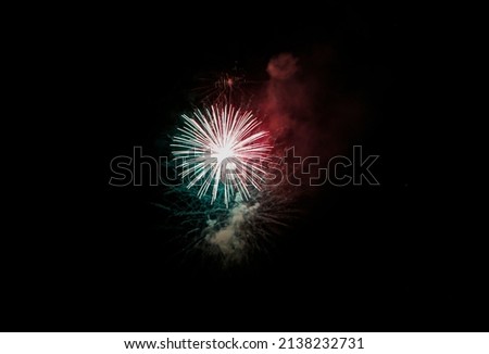 flowers fire works in black sky. High quality photo