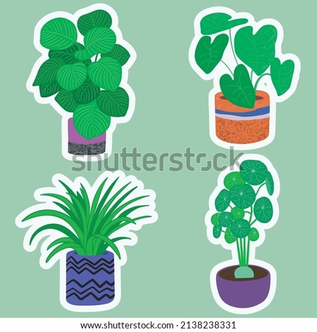 Stickers collection with potted house plants. Natural green home decor. Flat vector illustration isolated 