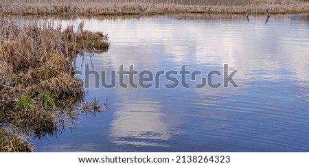 dry grass on the shore of the reservoir, blue sky and clouds are reflected in the water Royalty-Free Stock Photo #2138264323