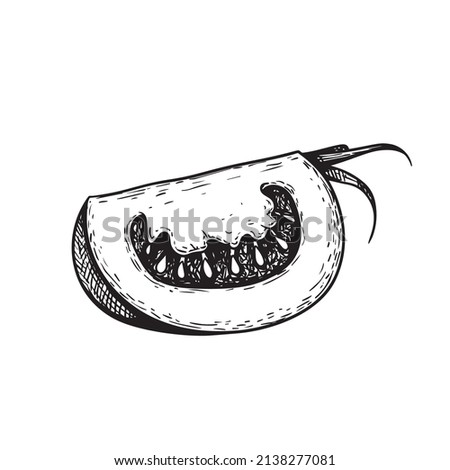 Hand drawn sketch style quarter slice of tomato. Best for tomato themed designs in retro vintage style. Organic vegetable vector illustration.