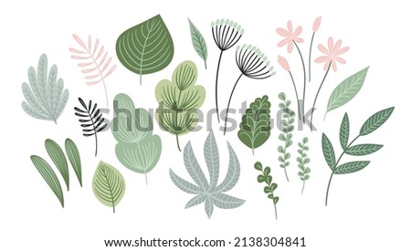 Set of abstract leaves, flowers and grass. Clipart, isolated elements. Vector illustrations.