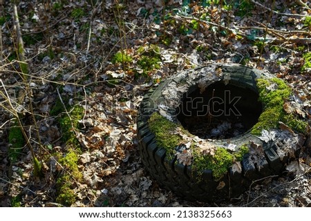 Trash in nature. Old truck tyre discarded in a forest covered in moss. Pollution and a bad example of rubbish management and sorting. Nylon, steel, rubber materials are long term pollutants in nature. Royalty-Free Stock Photo #2138325663