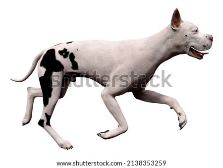 3D rendering of a Great Dane dog isolated on white background