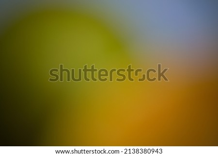 yellow gradient wallpapers and backgrounds