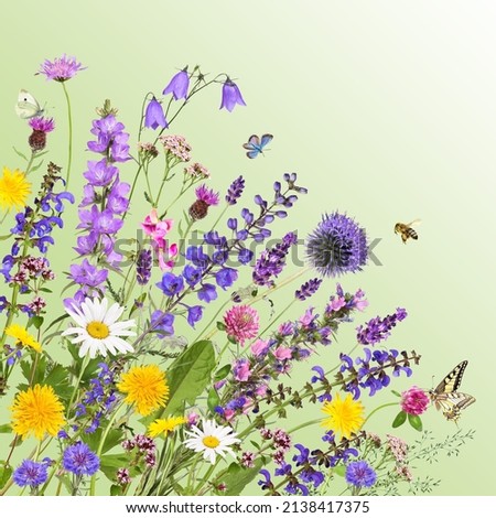 Various garden and meadow flowers with green background