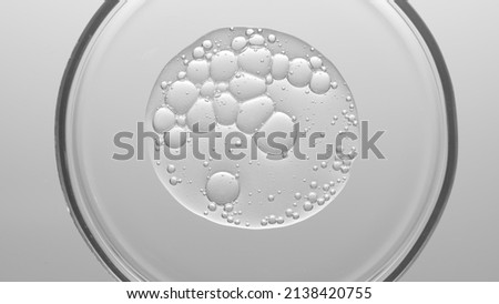 Close-up top view macro shot of gel with different sized bubbles in petri dish on light grey background | Abstract skin care gel with hyaluronic acid formulating concept Royalty-Free Stock Photo #2138420755