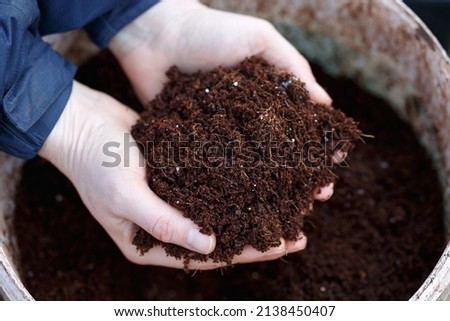 coconut coir compost sustanable potting up meadia in gardener hands Royalty-Free Stock Photo #2138450407