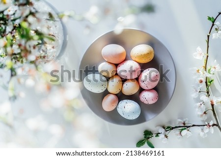 Top view colored easter eggs on the gray plate, blooming tree branch in vase and flower petals on the white table. Happy Easter and springtime card. Minimalism and simplicity. Selective focus.